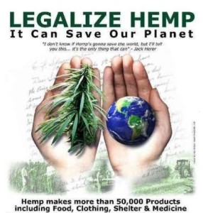 Hemp-Feed-Planet-1