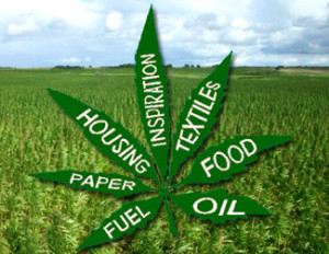 Hemp Products