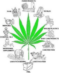 hemp-resource-tree